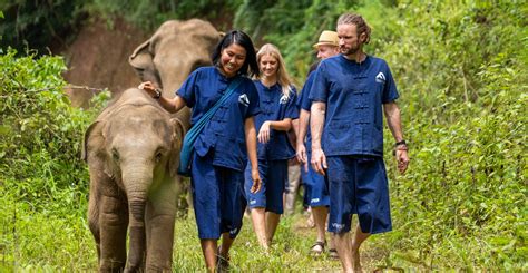 animal conservation volunteering abroad|voluntary work with animals worldwide.